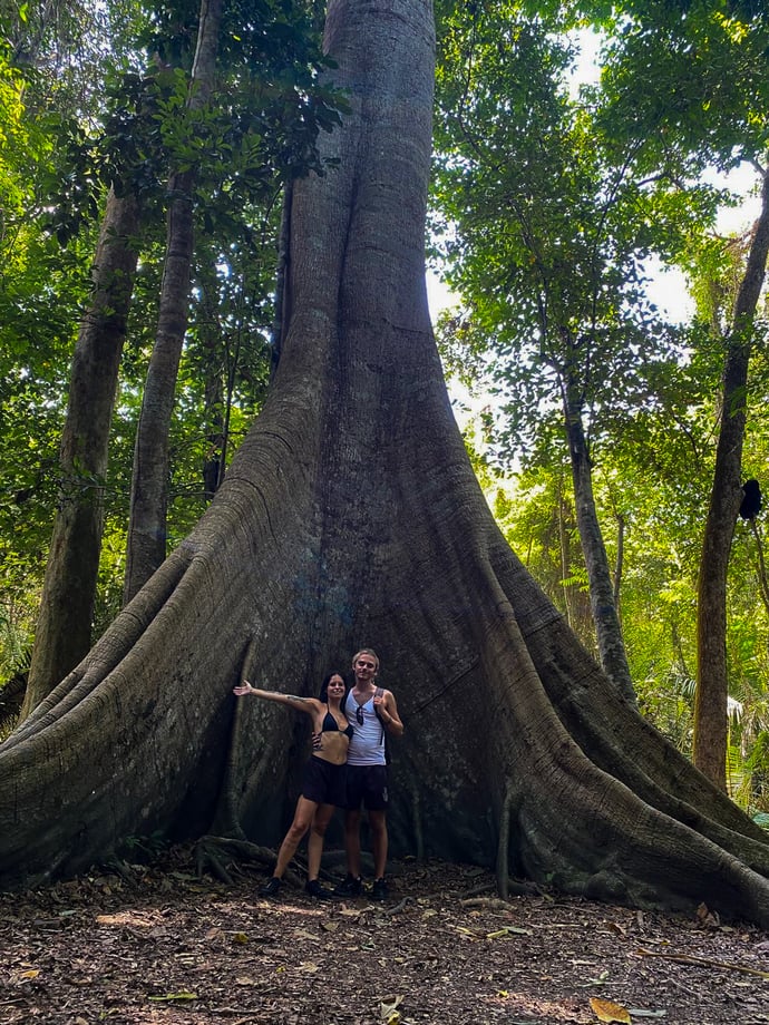3º dia - Uma incrível viagem a bordo do #barcosantaremdiscus, chegaremos à Flona do Tapajós, em Belterra.