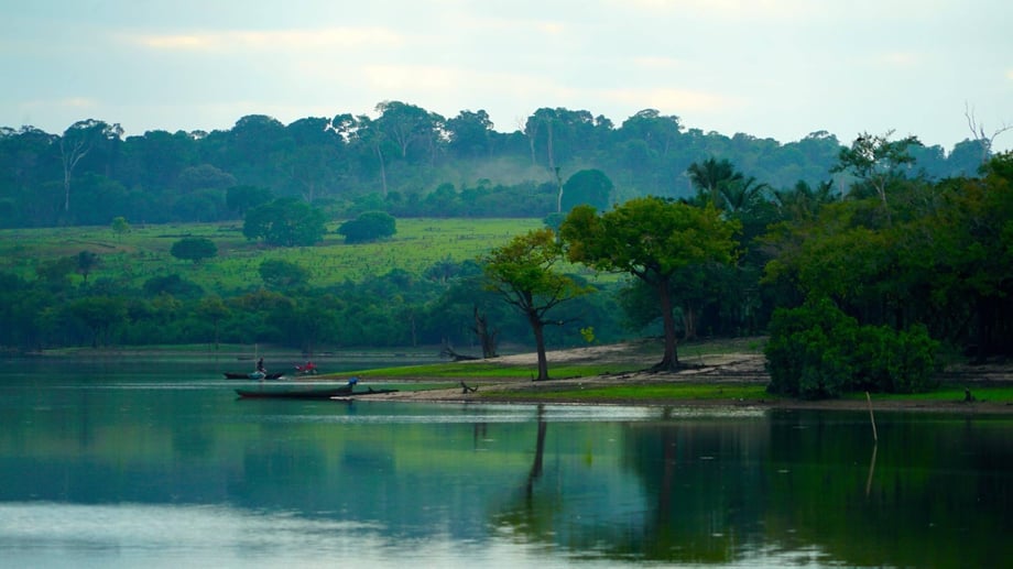 6º dia - Um dia de aventura na pesca de Piranhas .