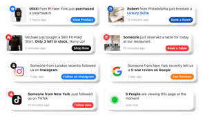 Add a Widget to Your Website – no coding required
