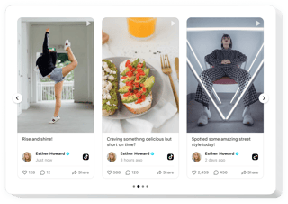 Showcase Your TikTok Content Directly on Your Site