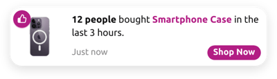 Popular Product Sales Notification