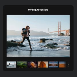 Traveler Gallery