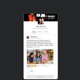Small Facebook Feed