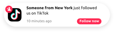 TikTok New Follower Notification
