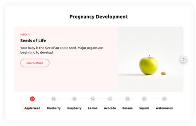 Pregnancy Development