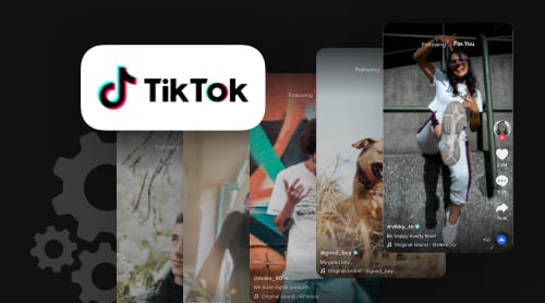 How to get and use TikTok API: integration and examples