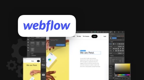 Webflow CMS API: Integrations and Documentation