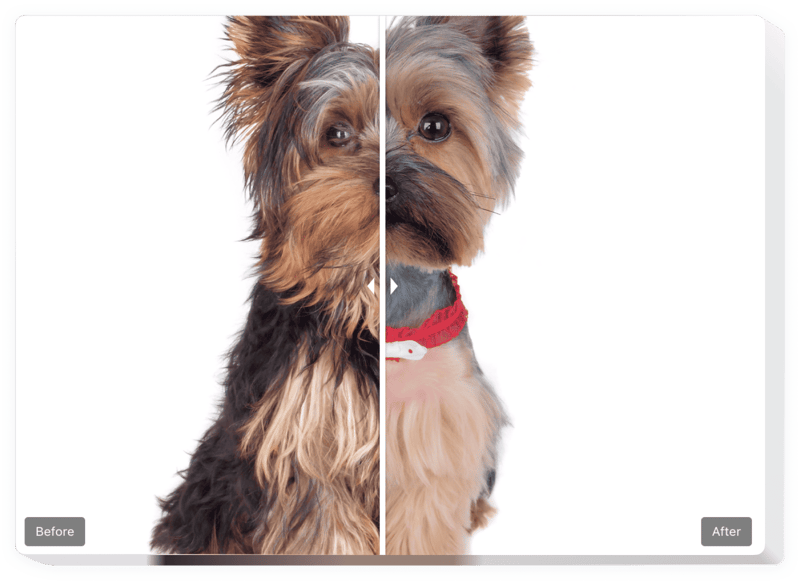 Vorher Nachher Slider für Ihre Website