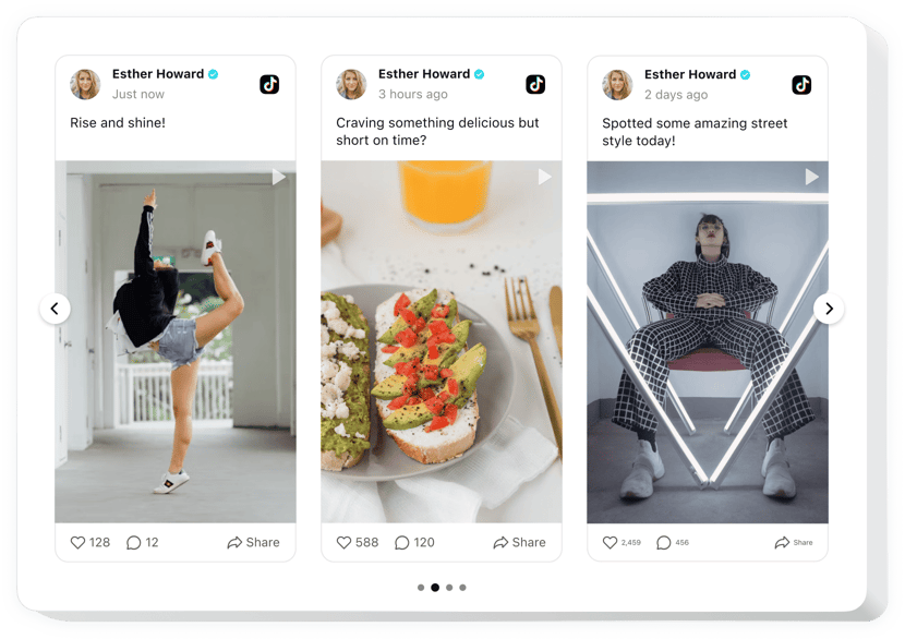 TikTok Feed Widget für Webseite