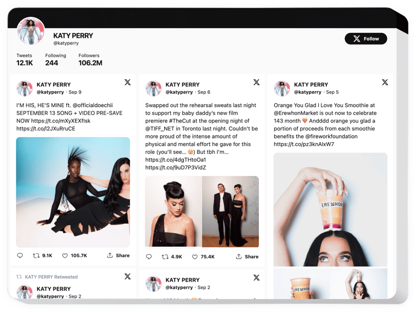 X Feed widget for website