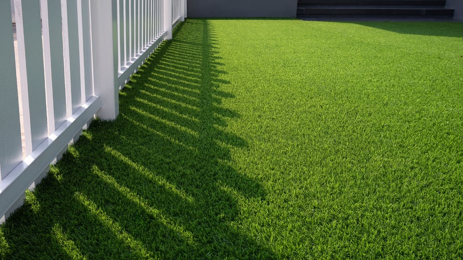 Ugh. How Can I Make My Lawn Green Again?