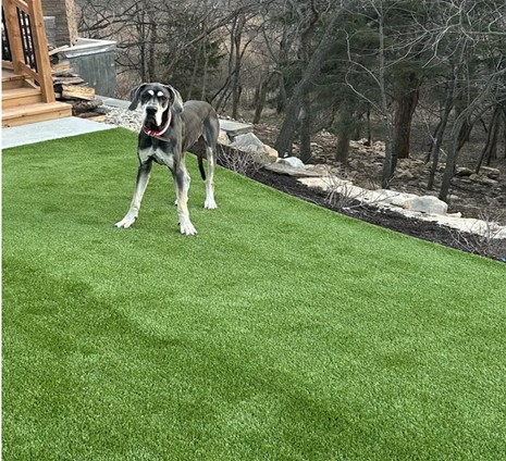 Is Residential Turf Installation Worth it for a Leawood Backyard?