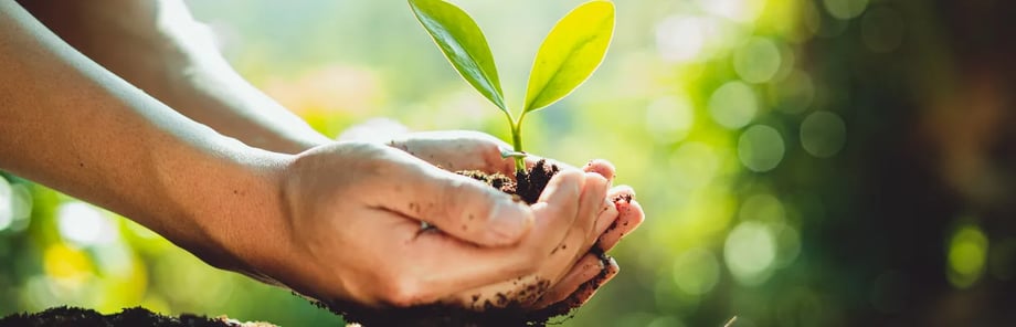 ¿Se puede construir sin dañar el planeta?