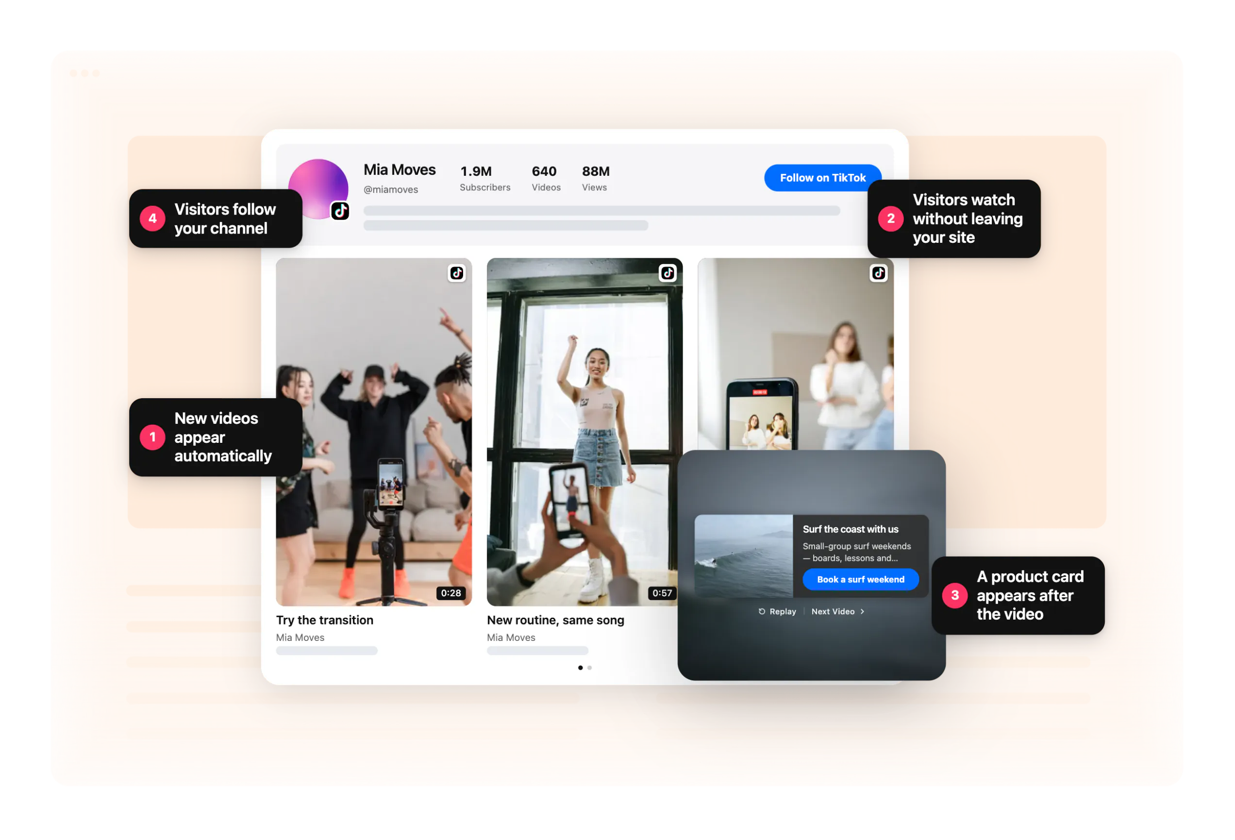 TikTok page — the gallery on a business's site, a TikTok account's vertical feed