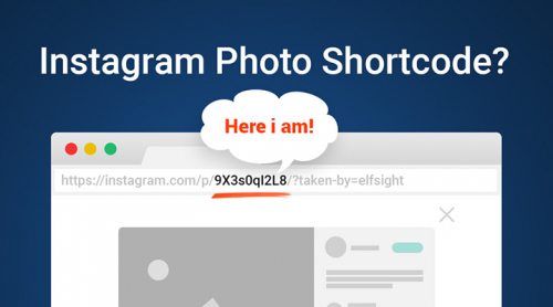 How to Get Instagram Photo Shortcode – Quick Tip