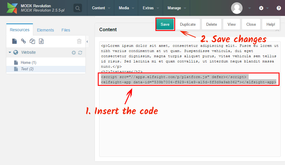 Paste widget code
