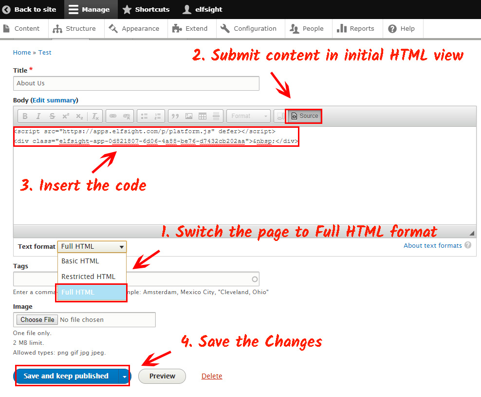 Paste the YouTube module code 