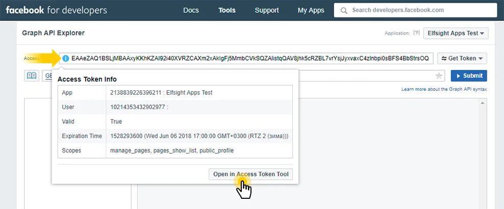 Abrir en la Herramienta de Token de Acceso