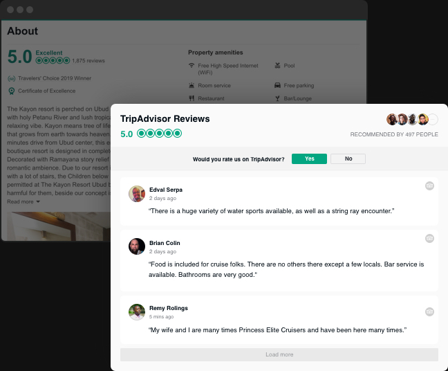 Your TripAdvisor reviews on your website