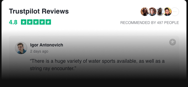 Show your social proof with the help of reviews. Reach higher trust.