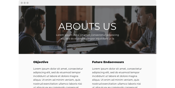 About Us widget  for website