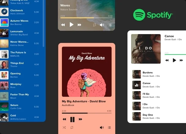 spot spotify web player