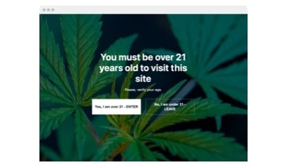 Marijuana Age Verification template