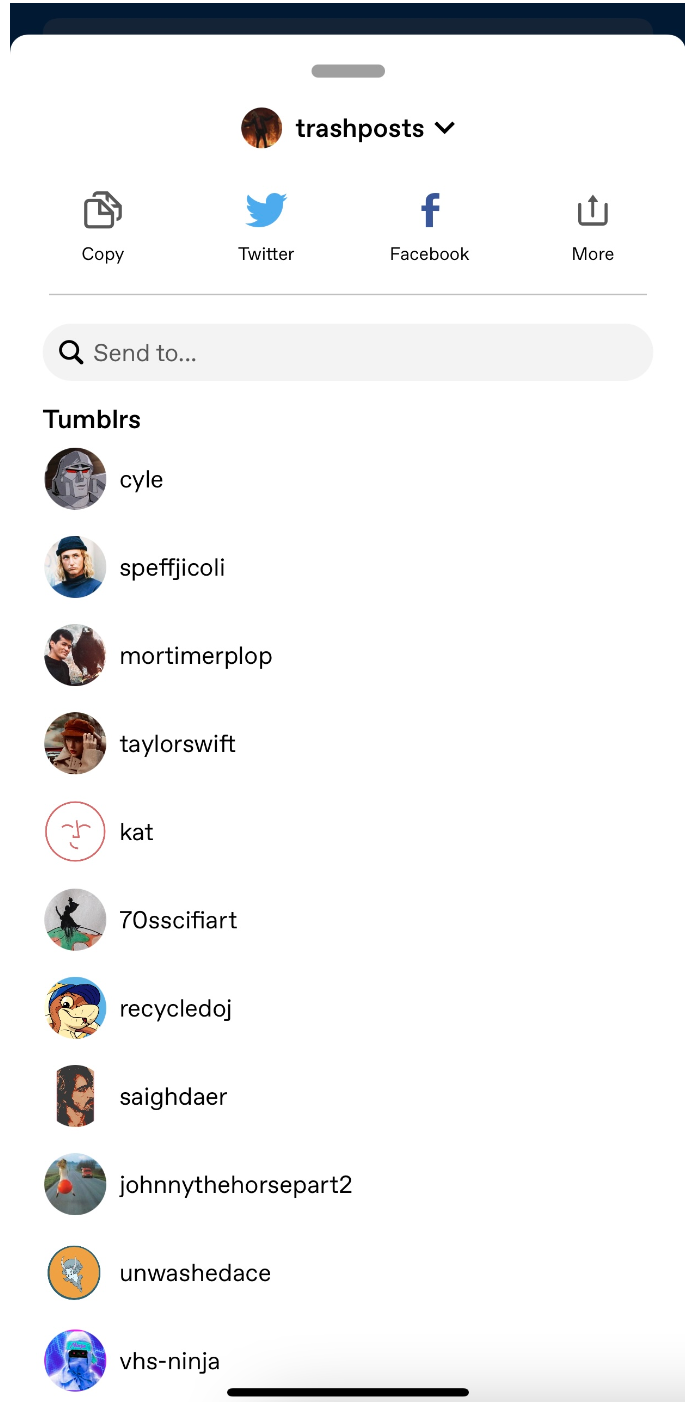 How to put Tumblr link to Instagram bio