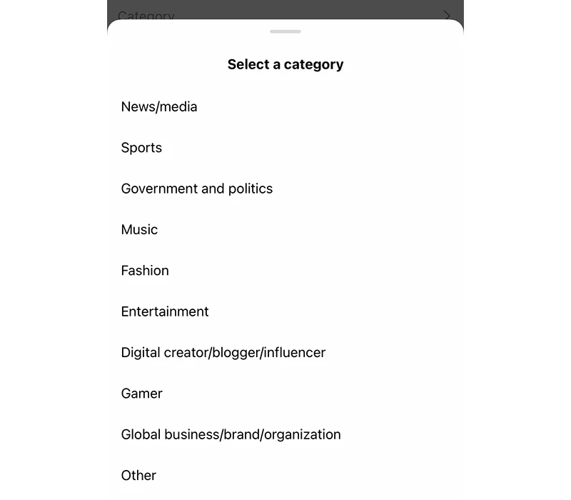 Category types for Instagram verification