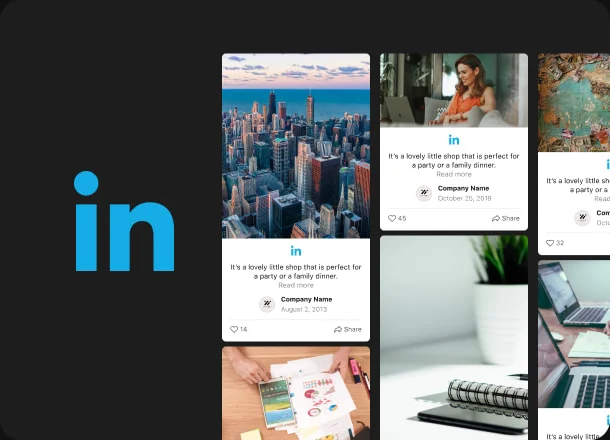 Reveal your LinkedIn content on a business website