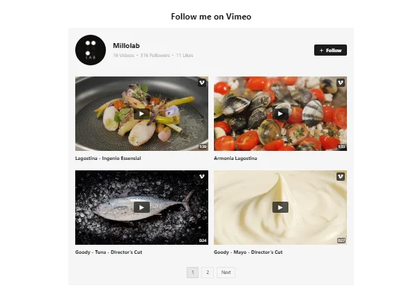 Vimeo Video Gallery widget User Widget template