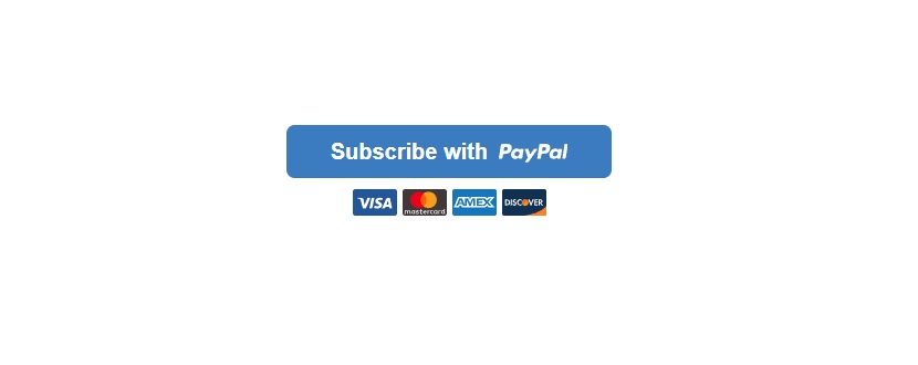 Paypal for Shopify example 3