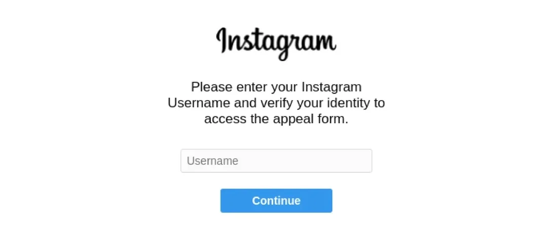 Instagram account verification