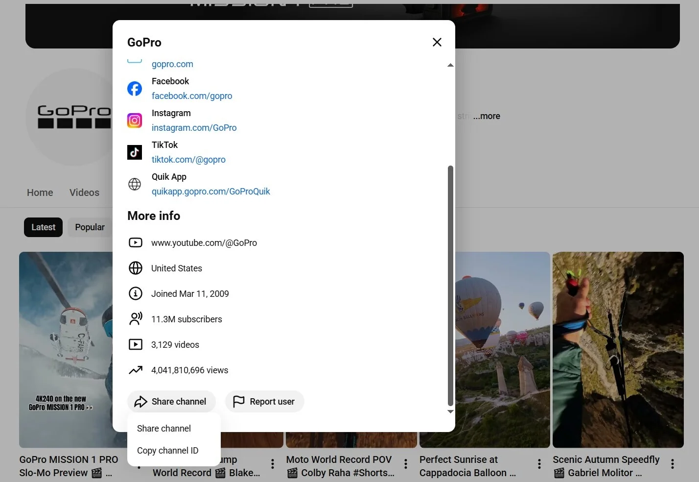 Copy your YouTube channel ID